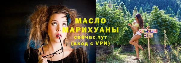 прущая мука Вяземский
