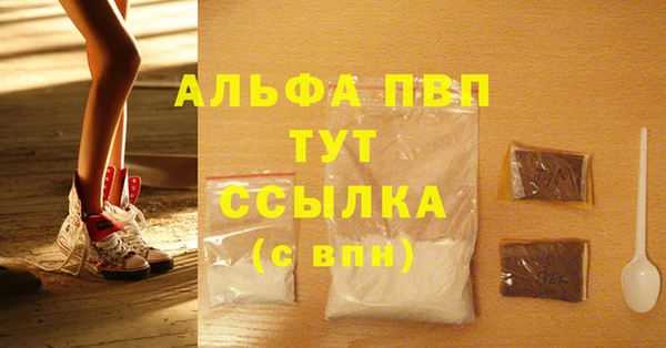 спиды Вязьма