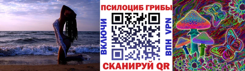 купить  сайты  ОМГ ОМГ зеркало  Псилоцибиновые грибы GOLDEN TEACHER  Тверь 